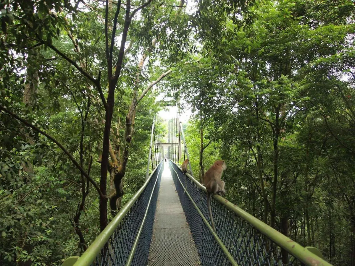 Lion Peak Hotel Hamilton Singapore Singapore